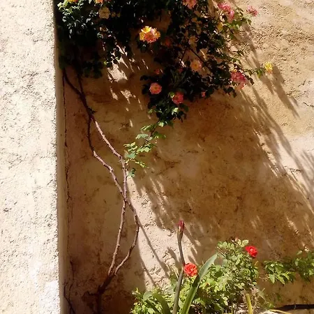 Felicita