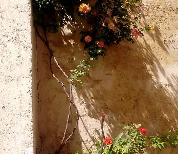 Felicita